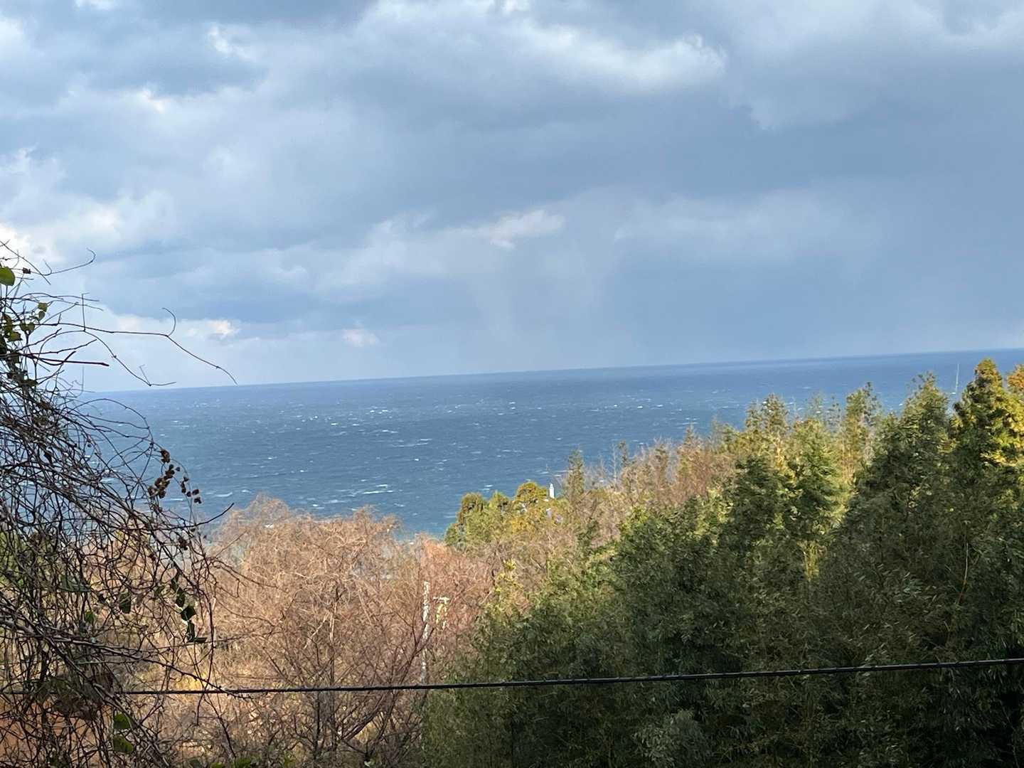 朝日山 往復コースの写真