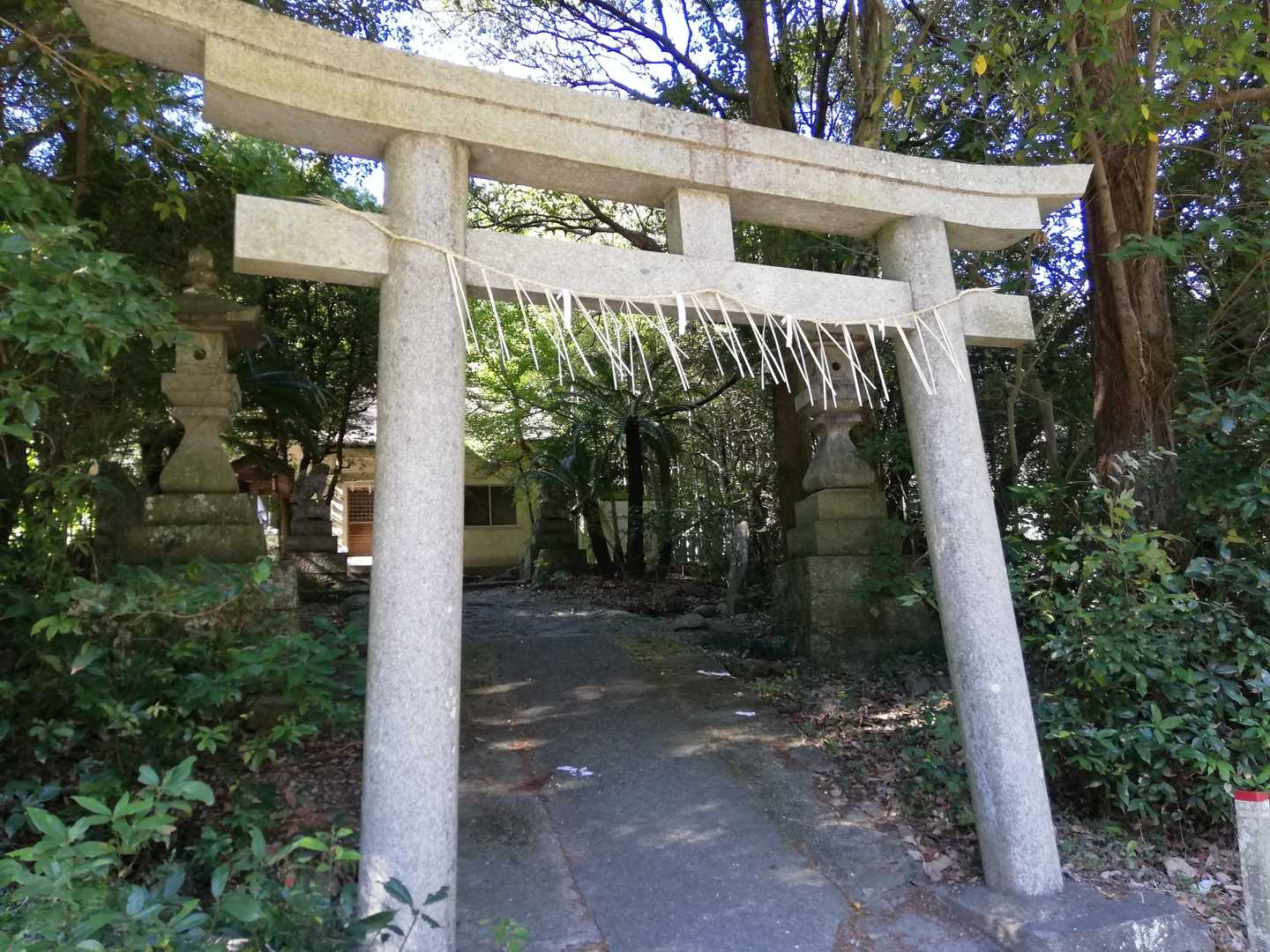 今日は神社から⛩️