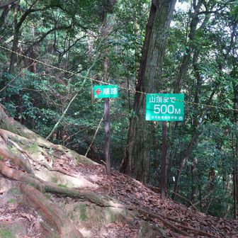 あと500m^^v