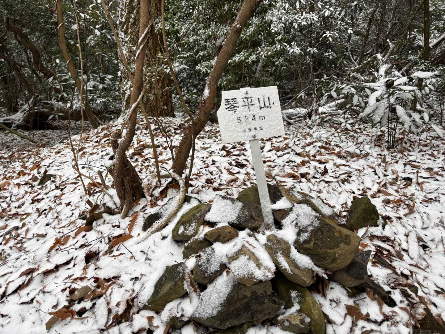 大麻山-象頭山 周回コースの写真