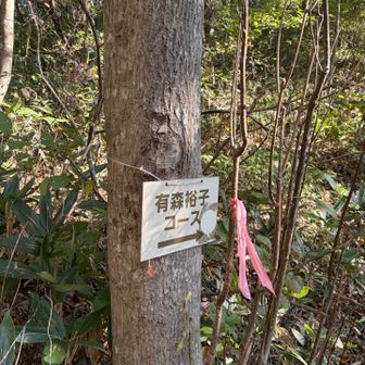何と金メダリストのコース？