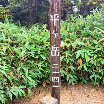 平ヶ岳登頂🎶