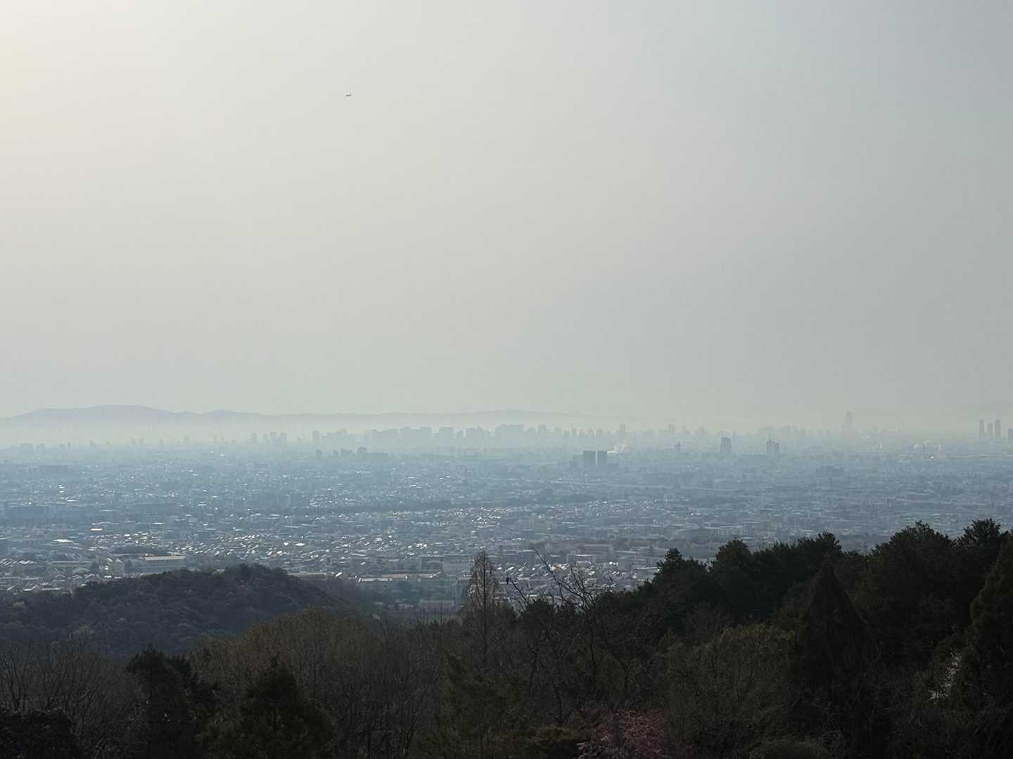 神呪寺から見た大坂市街地あたり。霞んでいます。