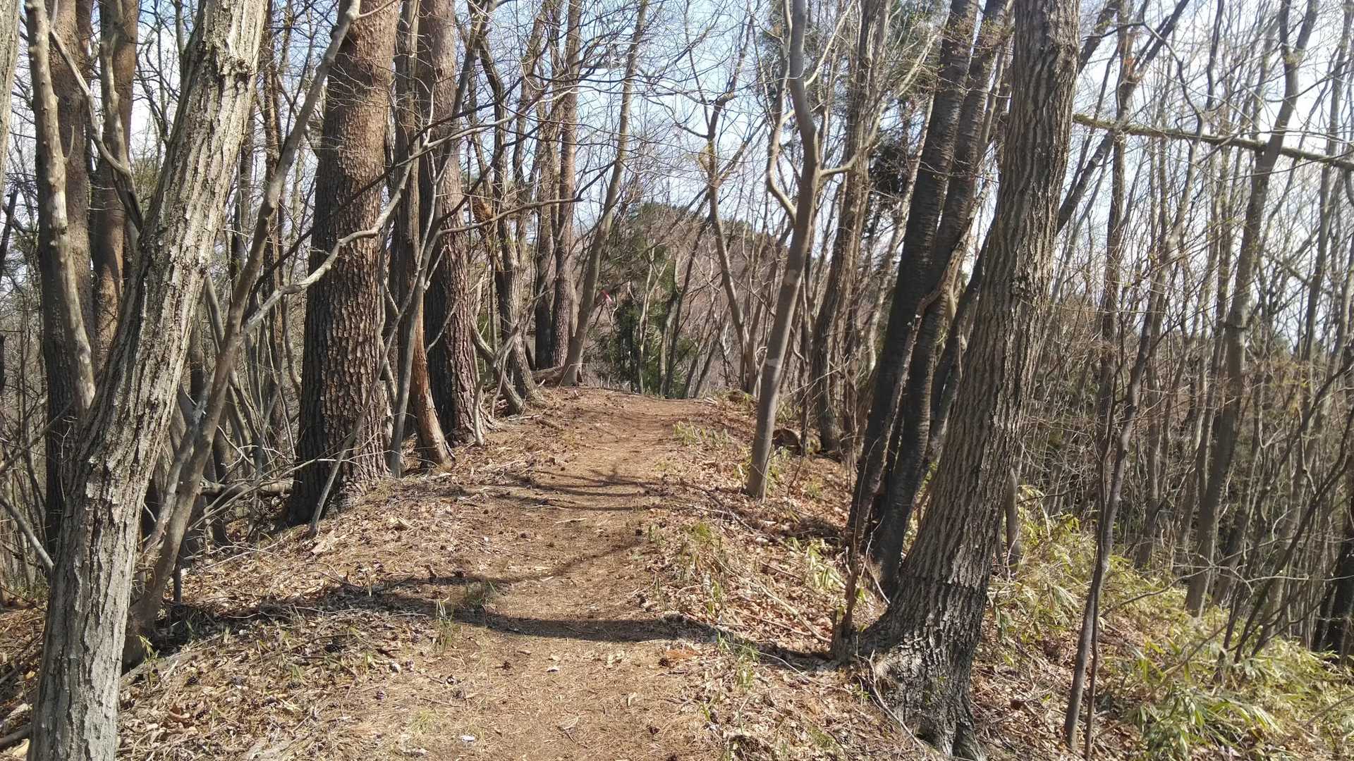 キモチいい尾根〰️