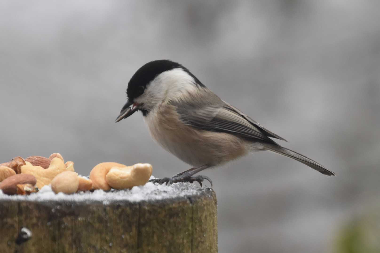 長居しました
そろそろ帰りましょう