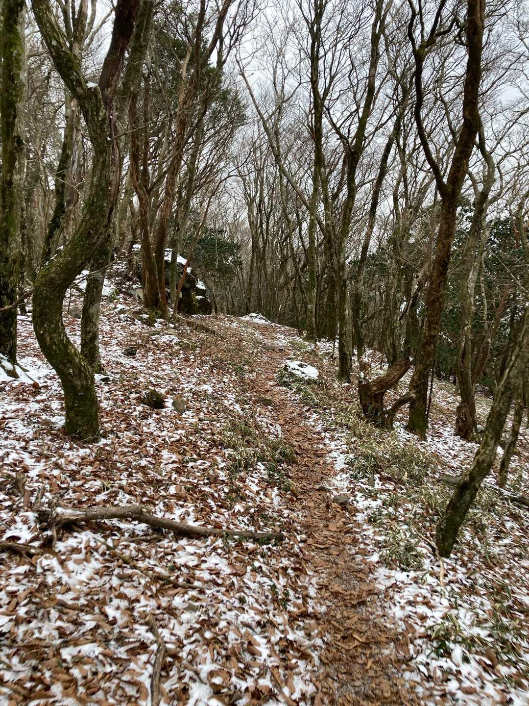 地蔵峠を過ぎるとうっすら雪が積もってます
凍ってる場所も多く、滑ります💦