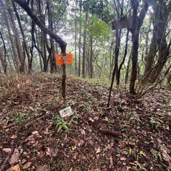 小富士山457mの三角点