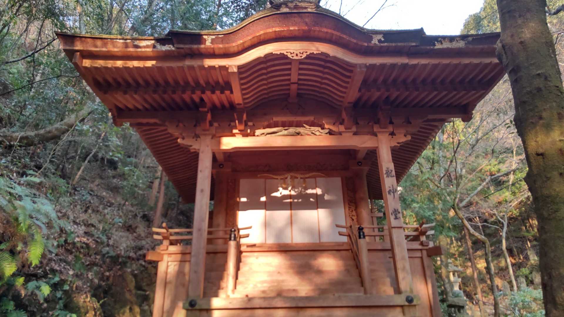龍神さまもお社が輝いてます。