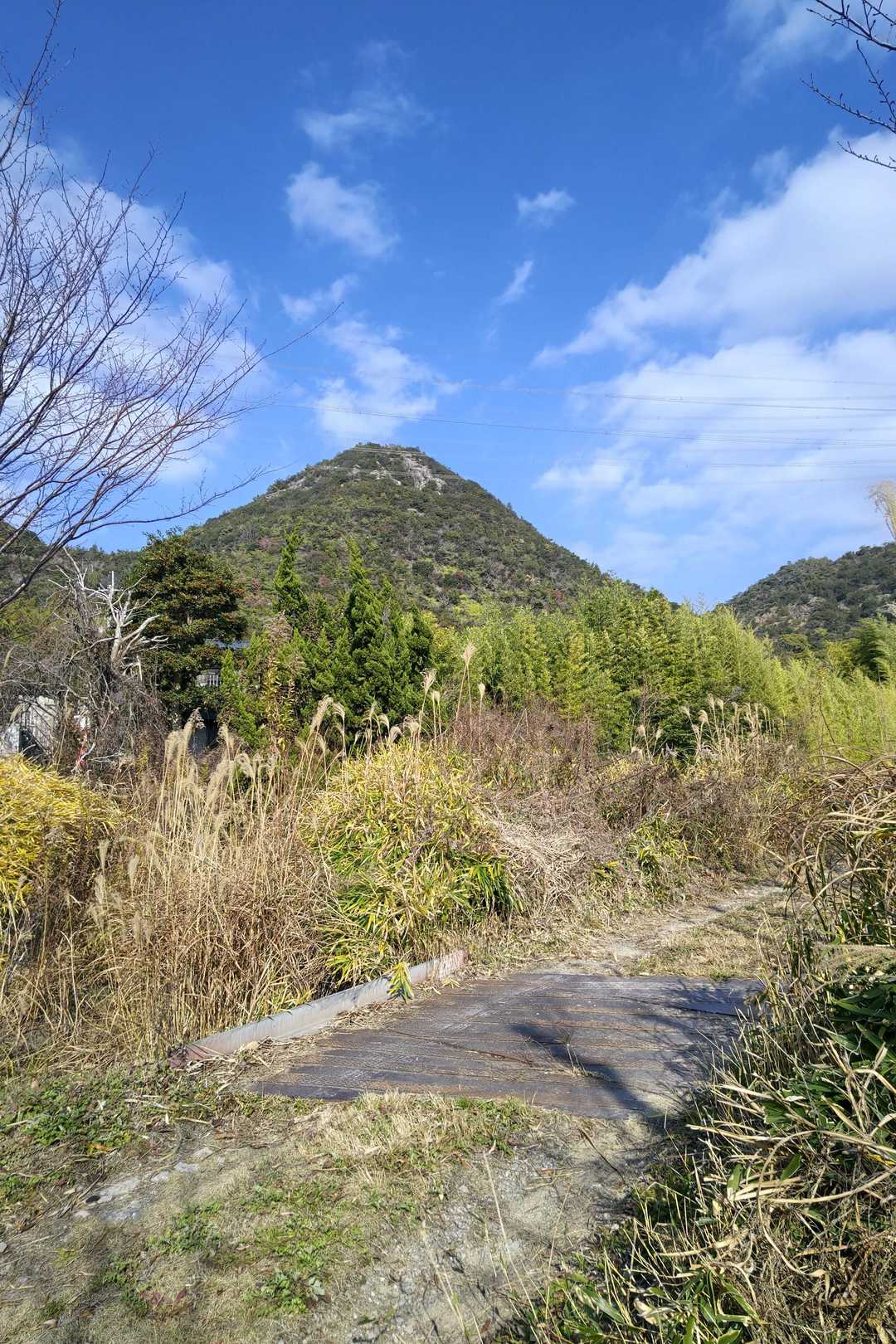 円錐形の立派な山容、岩肌が見える。