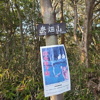 たぶんココは島の南側も見えるんじゃない？