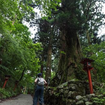 ランチを済ませて金剛山 葛木神社へ⛩️