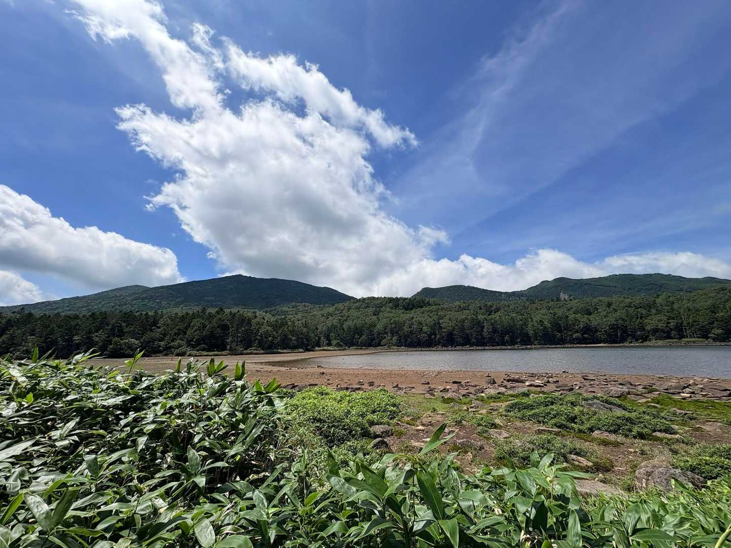 雨池、初めてダァ(^^)縞枯山方面☀️😅