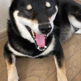 kanahanamaru