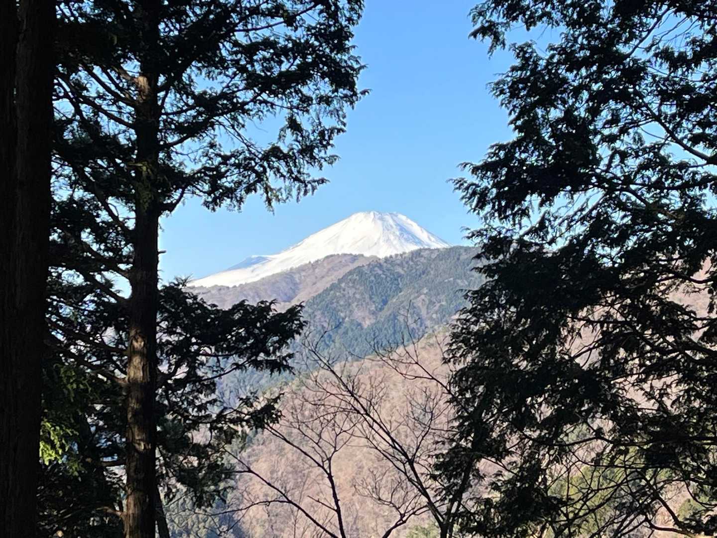 そしていつもの富士山☺️