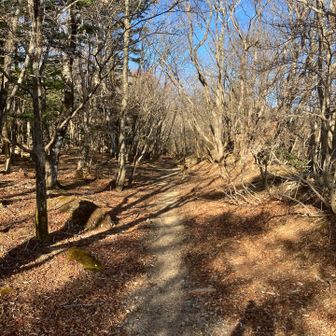 往路は林間コース