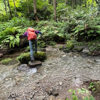 最初の渡渉💦
流石トントン渡ります❗️