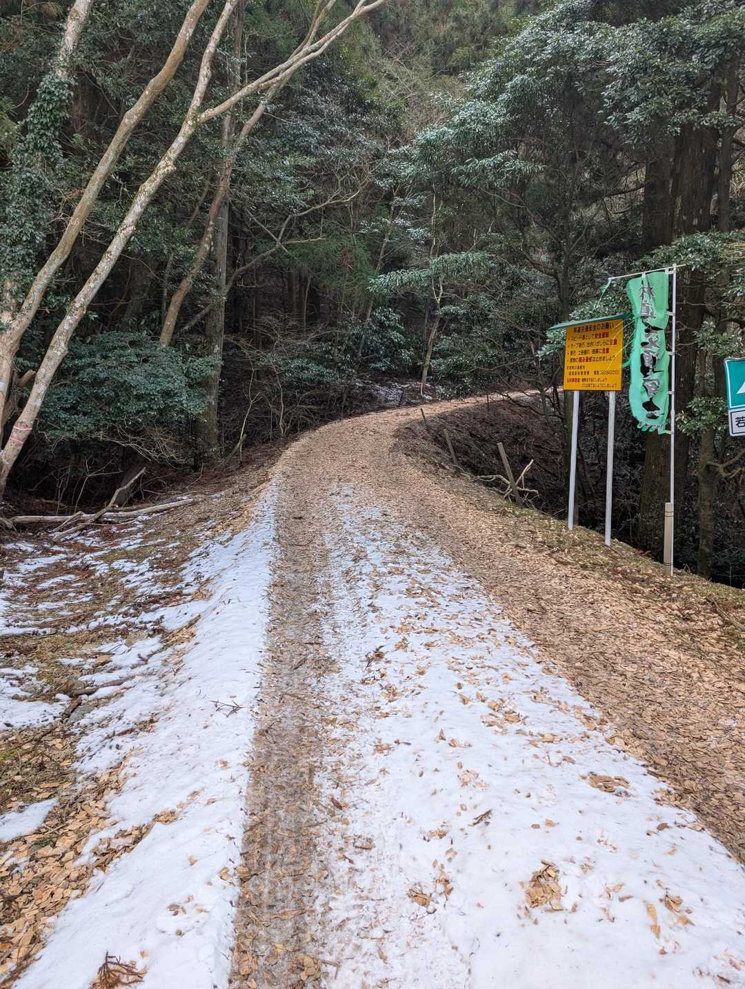 登って行きます😁