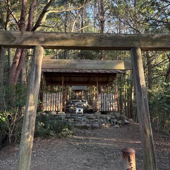 長い階段の先に椿の社