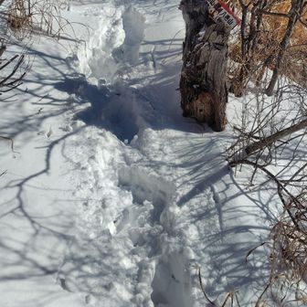 落ち込みながらも適当に難路を降りて来た