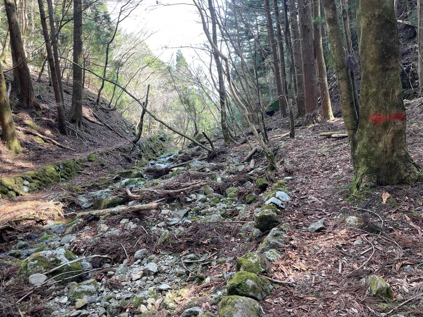 何度も沢を渡渉して下って行きます