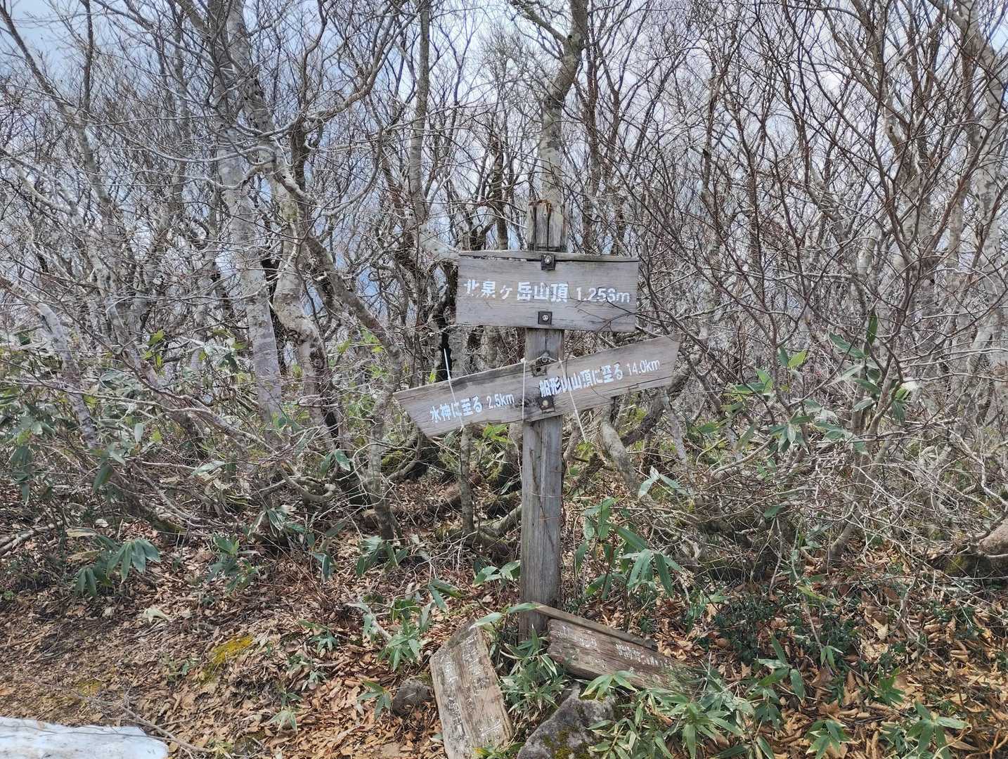 北泉ヶ岳山頂到着！