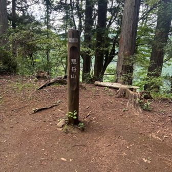戻って見つけた惣岳山の看板