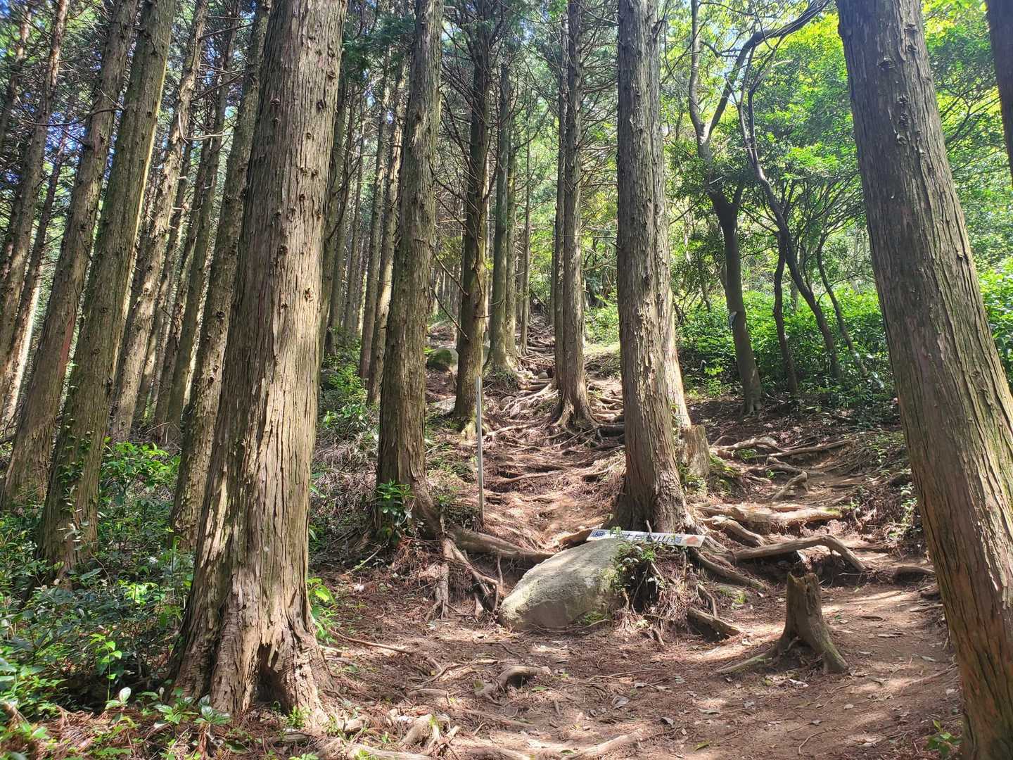 さぁー山頂アタック♪