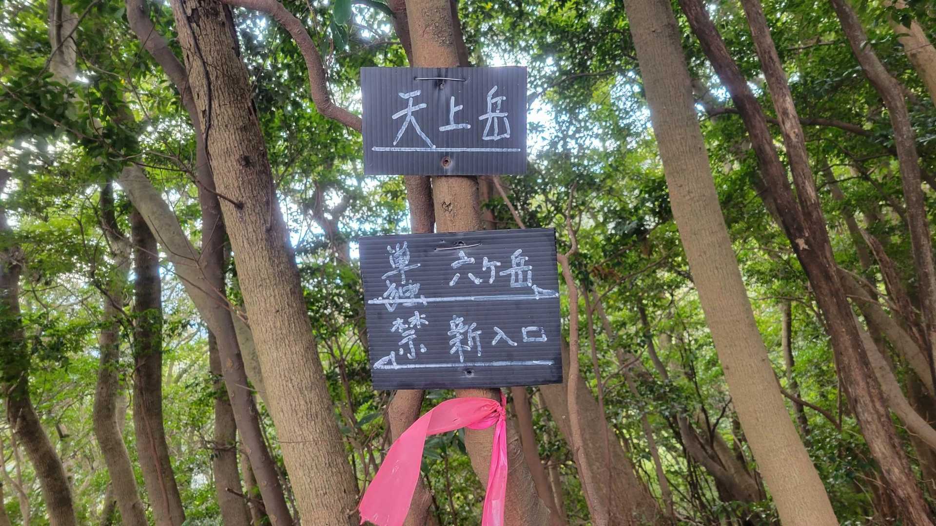 ⑬