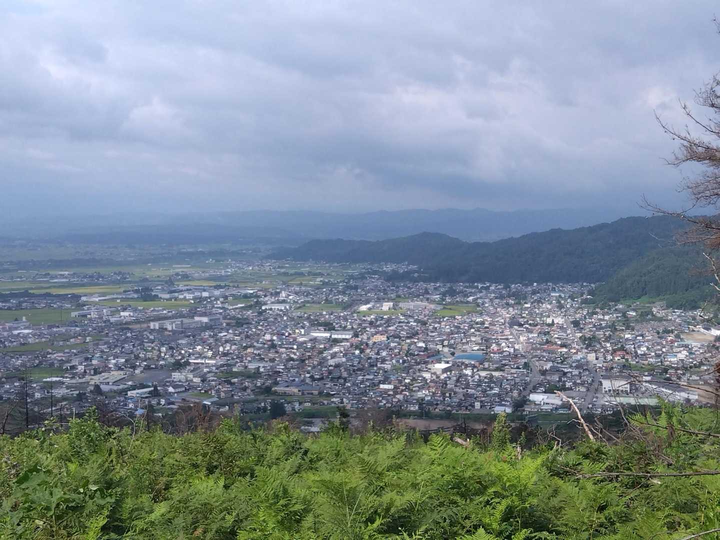 マンダムです