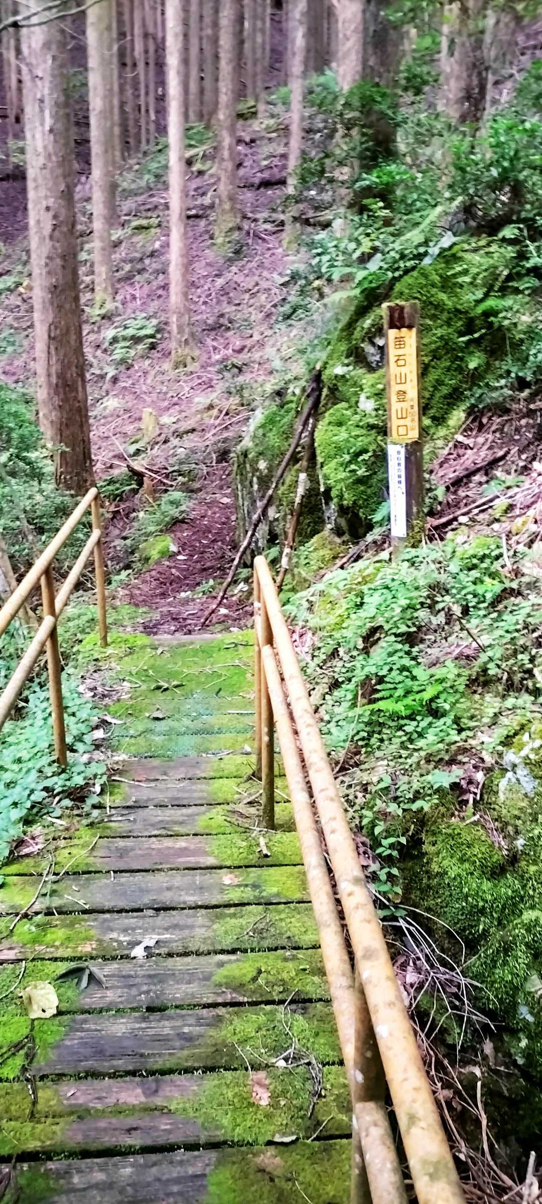 笛石山登山口