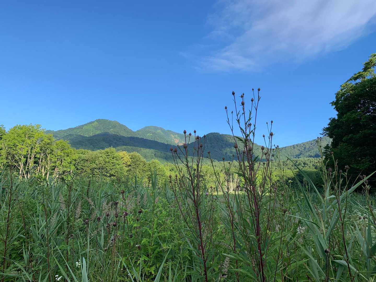 大橋登山口-種池-黒姫山-西登山口 周回コースの写真
