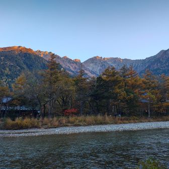 朝はこんな写真を量産しました・・