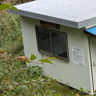 避難小屋🛖がありました。この山で避難小屋🛖いる！？😁