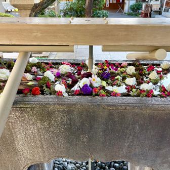 ここはいつも花手水が綺麗です