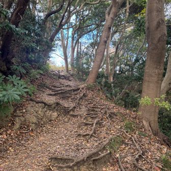 ここからはいつものコース