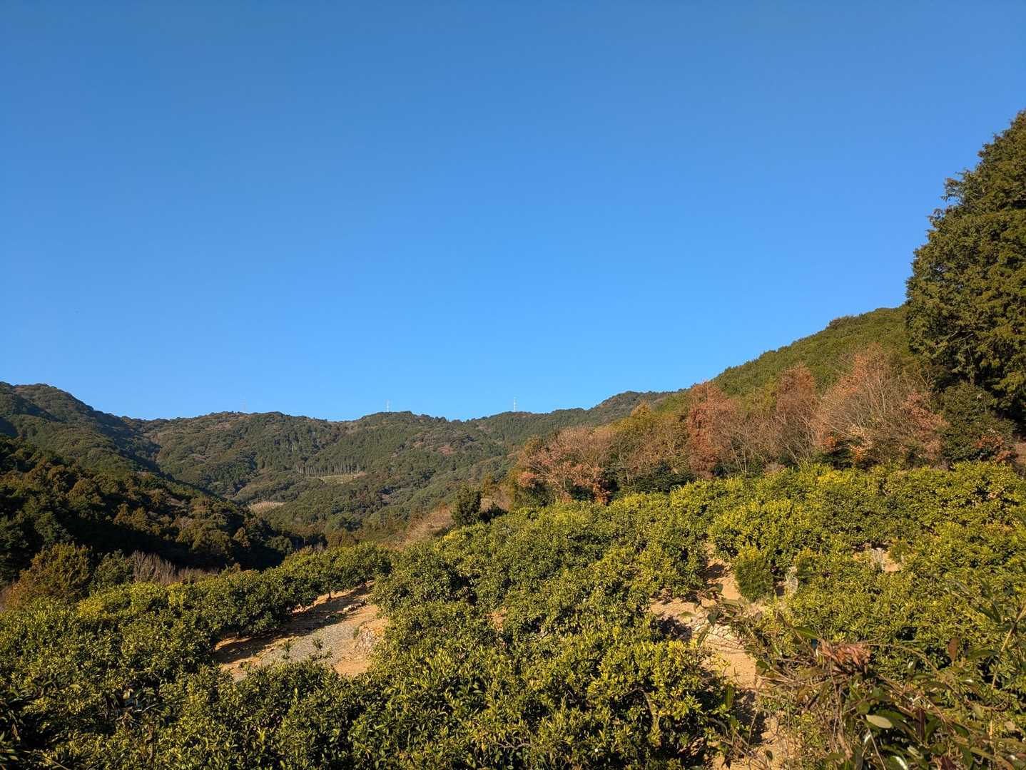 富士見岩-大知波峠 周回コースの写真