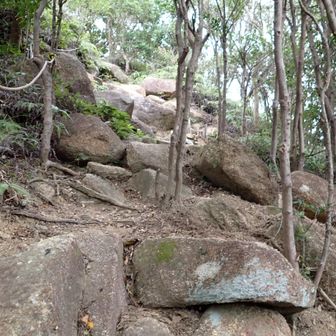 最初のピーク、勘十郎岳への登山道は岩のゴロゴロです