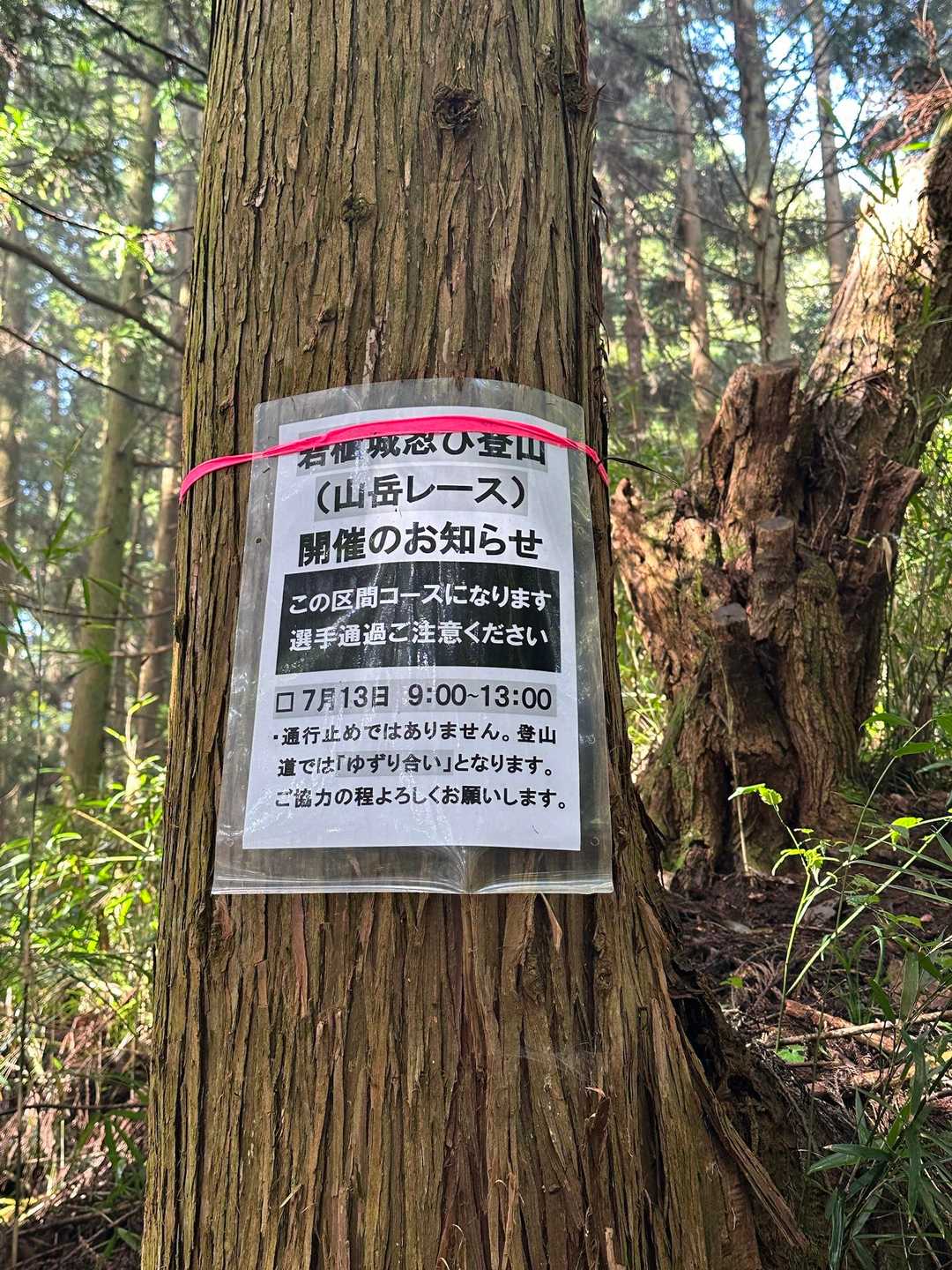 🏃トレラン大会やるみたい🙄