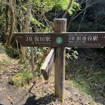 浜金谷駅方面に下ります。