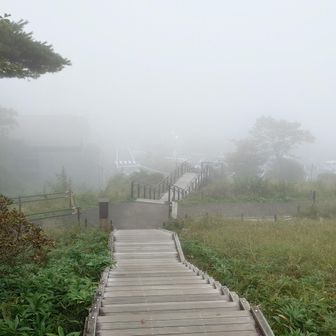 下まで降りてきたが真っ白け😶‍🌫️

お天気はギリ持ってくれたが、疲労困憊ボロボロで下山してきたという感じ⋯🫩