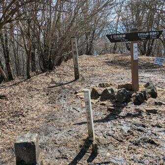 黒岳山頂 (1793m)
御坂山塊の最高峰ですが、展望はなし😢