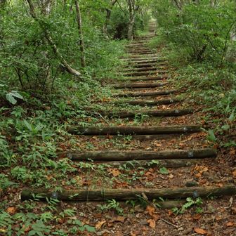 長ーい階段を登ります
段差はないのですが、下りが心配🦵🥺