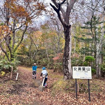 お初です！
この辺は紅葉も綺麗でお散歩コースにも良さそうでした🍁