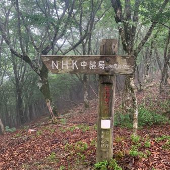 ＮＨＫの電波📡塔が見えて来ました
あら、まだ見えてませんね💦