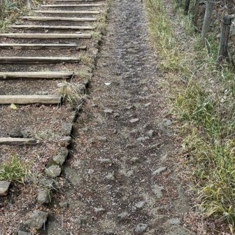景信山から高尾山は霰が降っていました☃️
なんだか美味しそうなつぶつぶ。キャビア白バージョンほどの大きさ。
いや、キャビア食べたことはないのですが。