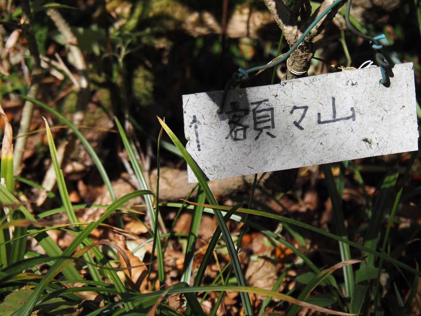 額々山への分岐を過ぎると・・