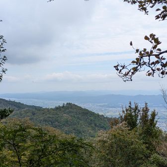 調子がよいと、大山まで見えるそうです