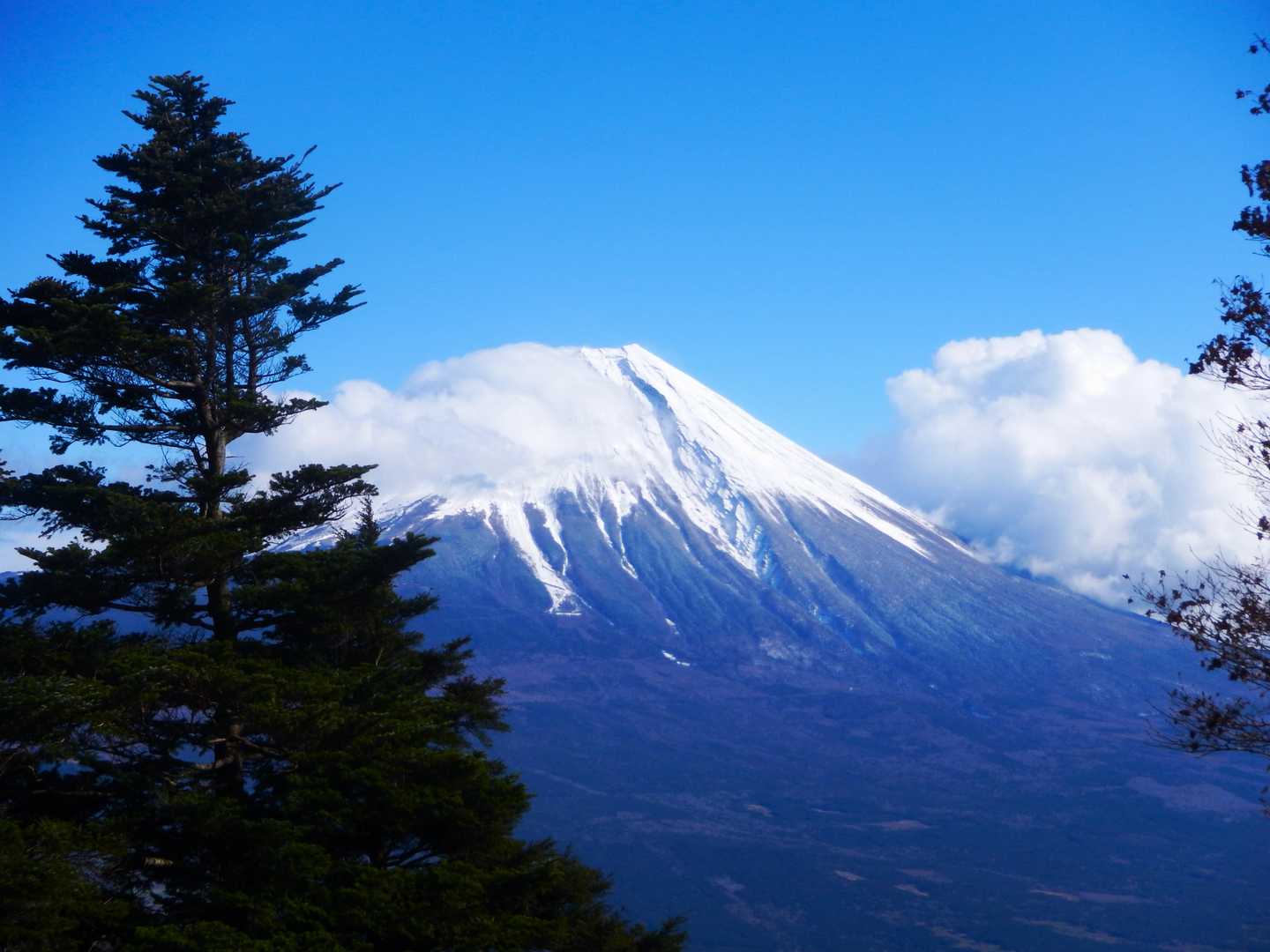 山頂から見る富士山