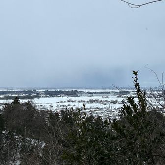 ビッグスワンが見えました