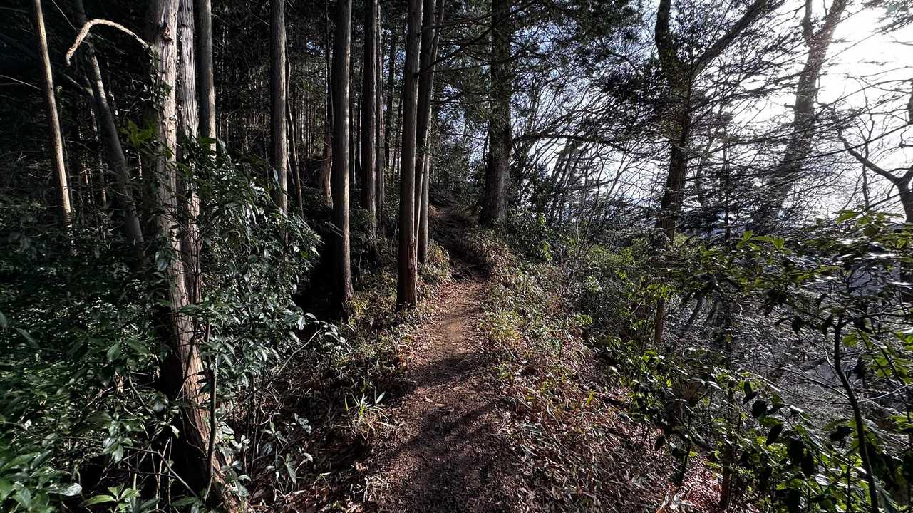 奥高尾〜裏高尾縦走（陣馬山・堂所山・富士見台・駒木野） の写真 63